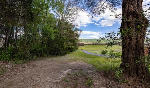 Photo #7 of BOLIVER RD, FORT VALLEY, VA 23.2 acres