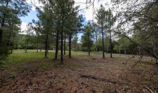 Photo #34 of BOLIVER RD, FORT VALLEY, VA 23.2 acres