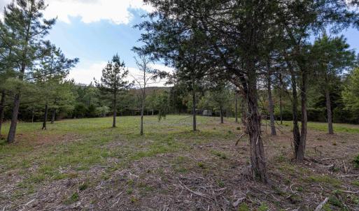 Photo #35 of BOLIVER RD, FORT VALLEY, VA 23.2 acres