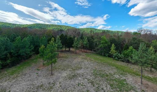 Photo #26 of BOLIVER RD, FORT VALLEY, VA 23.2 acres