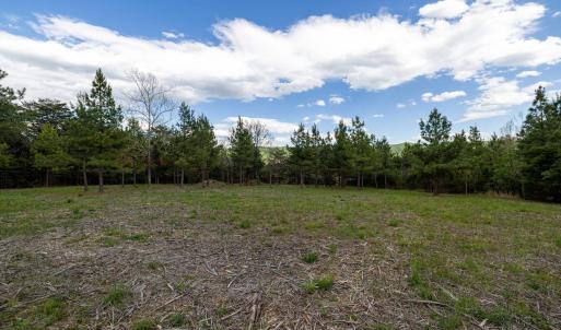 Photo #38 of BOLIVER RD, FORT VALLEY, VA 23.2 acres
