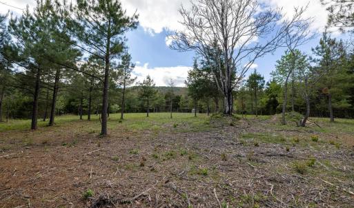 Photo #33 of BOLIVER RD, FORT VALLEY, VA 23.2 acres
