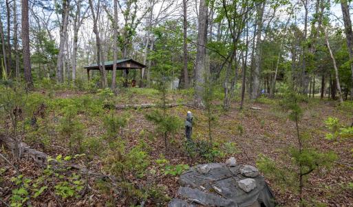 Photo #54 of BOLIVER RD, FORT VALLEY, VA 23.2 acres