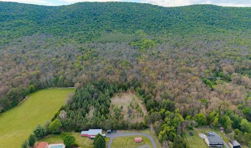Photo #6 of BOLIVER RD, FORT VALLEY, VA 23.2 acres