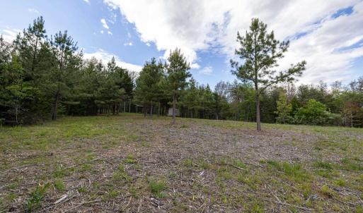 Photo #37 of BOLIVER RD, FORT VALLEY, VA 23.2 acres