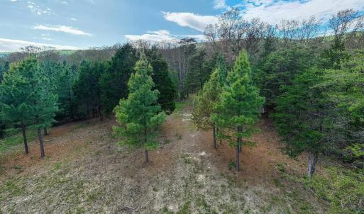 Photo #8 of BOLIVER RD, FORT VALLEY, VA 23.2 acres