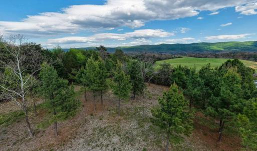 Photo #25 of BOLIVER RD, FORT VALLEY, VA 23.2 acres