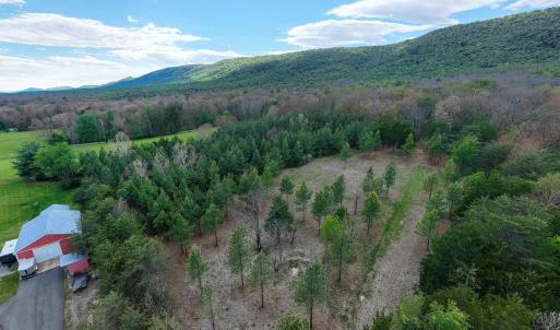 Photo #21 of BOLIVER RD, FORT VALLEY, VA 23.2 acres