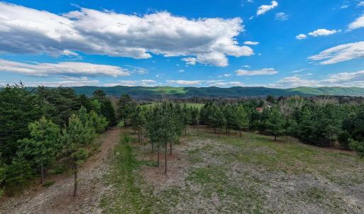 Photo #27 of BOLIVER RD, FORT VALLEY, VA 23.2 acres