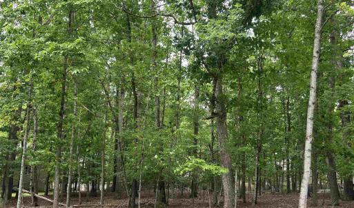 Photo #1 of 25 LAGUNA RD, PALMYRA, VA 0.3 acres