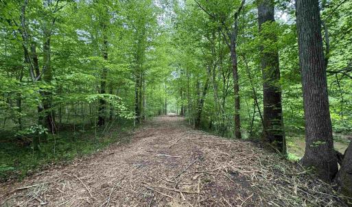 Photo #3 of HOLLYWOOD RD, APPOMATTOX, VA 84.4 acres