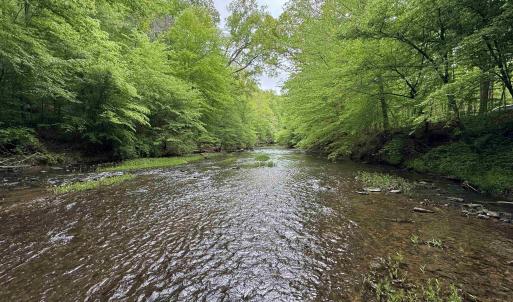 Photo #8 of HOLLYWOOD RD, APPOMATTOX, VA 84.4 acres