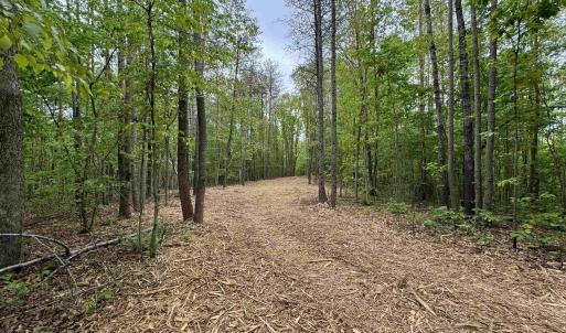 Photo #6 of HOLLYWOOD RD, APPOMATTOX, VA 84.4 acres