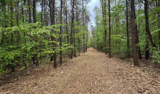 Photo #7 of HOLLYWOOD RD, APPOMATTOX, VA 84.4 acres