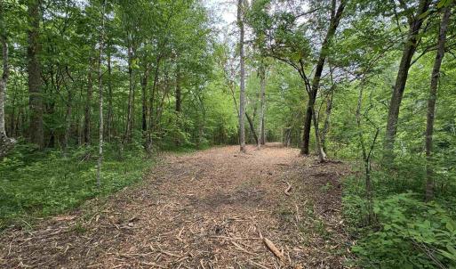 Photo #4 of HOLLYWOOD RD, APPOMATTOX, VA 84.4 acres