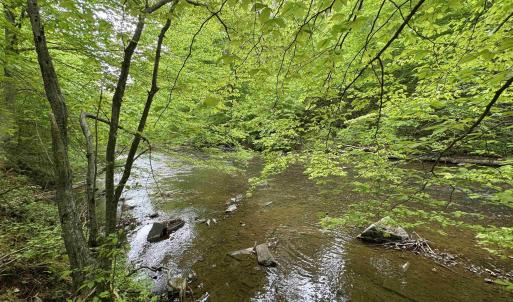 Photo #1 of HOLLYWOOD RD, APPOMATTOX, VA 84.4 acres
