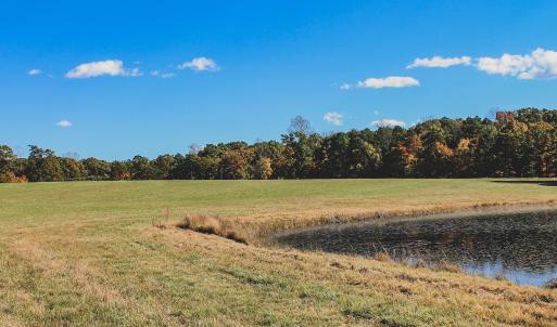Photo #15 of 17 ROLLING RD S, SCOTTSVILLE, VA 17.4 acres