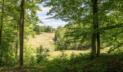 Photo #11 of 255 CEDAR GLEN CLOSE, NELLYSFORD, VA 0.4 acres