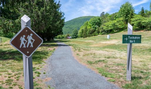 Photo #28 of 255 CEDAR GLEN CLOSE, NELLYSFORD, VA 0.4 acres