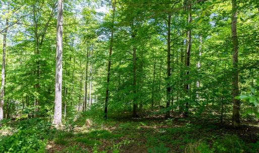 Photo #14 of 255 CEDAR GLEN CLOSE, NELLYSFORD, VA 0.4 acres