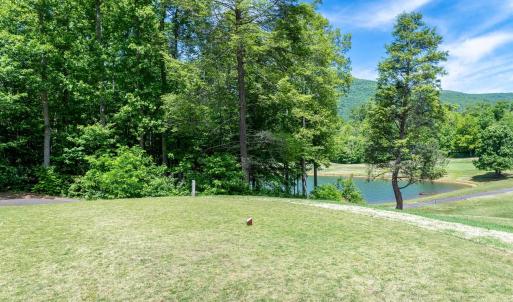 Photo #5 of 255 CEDAR GLEN CLOSE, NELLYSFORD, VA 0.4 acres