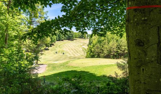 Photo #10 of 255 CEDAR GLEN CLOSE, NELLYSFORD, VA 0.4 acres