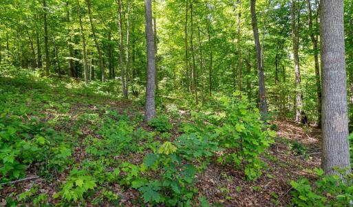 Photo #12 of 255 CEDAR GLEN CLOSE, NELLYSFORD, VA 0.4 acres