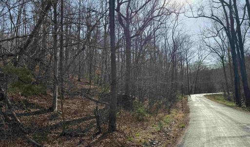 Photo #28 of PAYNES POND RD, SCOTTSVILLE, VA 118.0 acres