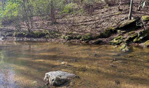 Photo #22 of PAYNES POND RD, SCOTTSVILLE, VA 118.0 acres