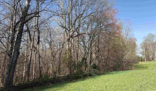 Photo #16 of PAYNES POND RD, SCOTTSVILLE, VA 118.0 acres