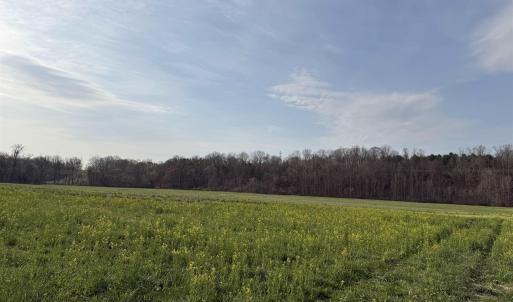 Photo #33 of PAYNES POND RD, SCOTTSVILLE, VA 118.0 acres