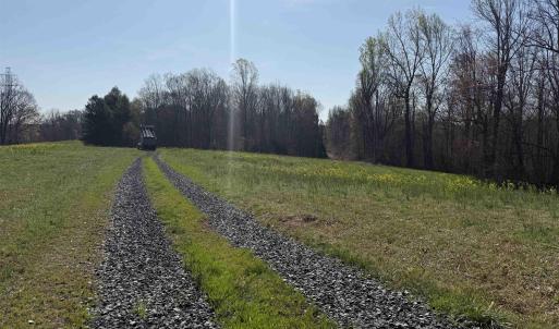 Photo #12 of PAYNES POND RD, SCOTTSVILLE, VA 118.0 acres