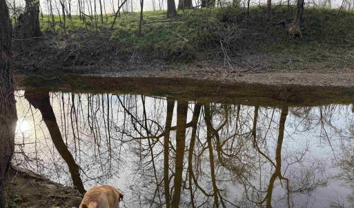 Photo #39 of PAYNES POND RD, SCOTTSVILLE, VA 118.0 acres