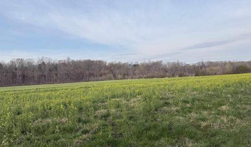 Photo #42 of PAYNES POND RD, SCOTTSVILLE, VA 118.0 acres