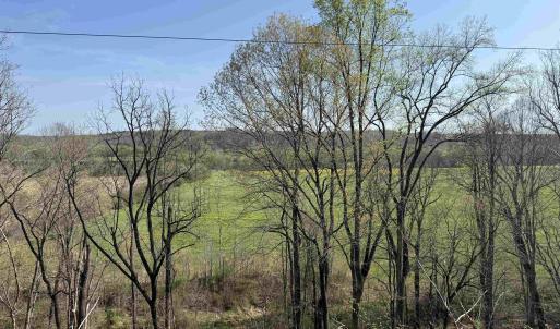 Photo #8 of PAYNES POND RD, SCOTTSVILLE, VA 118.0 acres