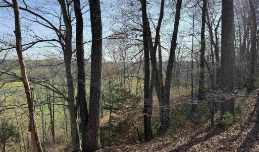 Photo #7 of PAYNES POND RD, SCOTTSVILLE, VA 118.0 acres