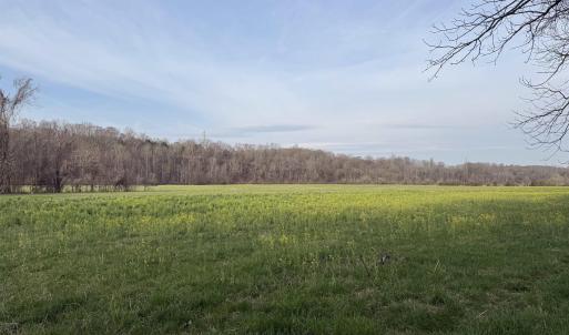 Photo #40 of PAYNES POND RD, SCOTTSVILLE, VA 118.0 acres