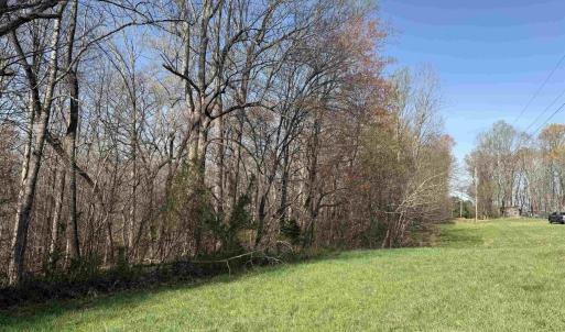 Photo #13 of PAYNES POND RD, SCOTTSVILLE, VA 118.0 acres