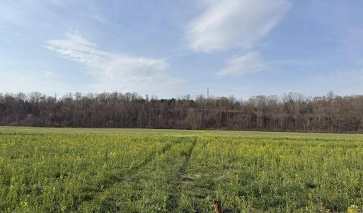 Photo #34 of PAYNES POND RD, SCOTTSVILLE, VA 118.0 acres