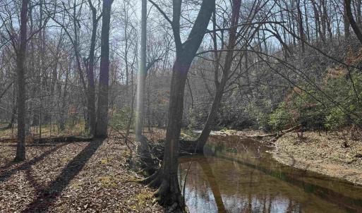 Photo #5 of PAYNES POND RD, SCOTTSVILLE, VA 118.0 acres