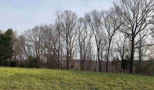 Photo #55 of PAYNES POND RD, SCOTTSVILLE, VA 118.0 acres