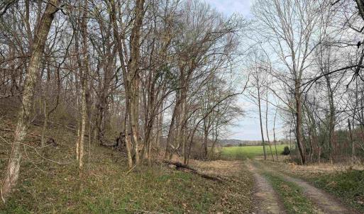 Photo #47 of PAYNES POND RD, SCOTTSVILLE, VA 118.0 acres