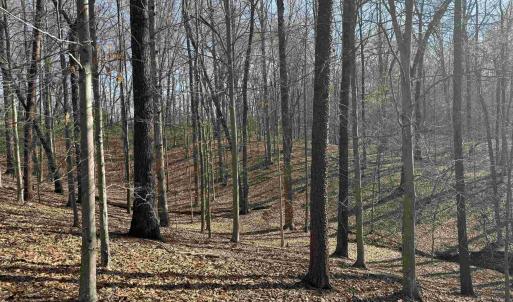 Photo #26 of PAYNES POND RD, SCOTTSVILLE, VA 118.0 acres