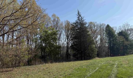 Photo #9 of PAYNES POND RD, SCOTTSVILLE, VA 118.0 acres