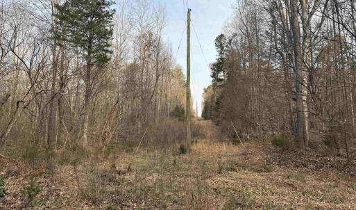 Photo #52 of PAYNES POND RD, SCOTTSVILLE, VA 118.0 acres