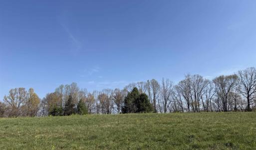 Photo #15 of PAYNES POND RD, SCOTTSVILLE, VA 118.0 acres
