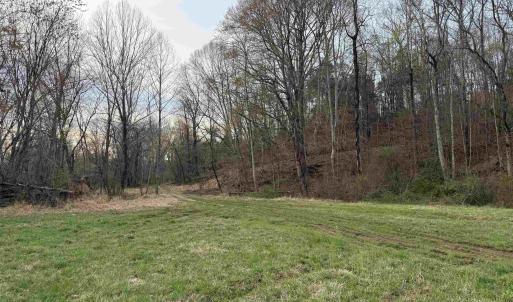 Photo #46 of PAYNES POND RD, SCOTTSVILLE, VA 118.0 acres