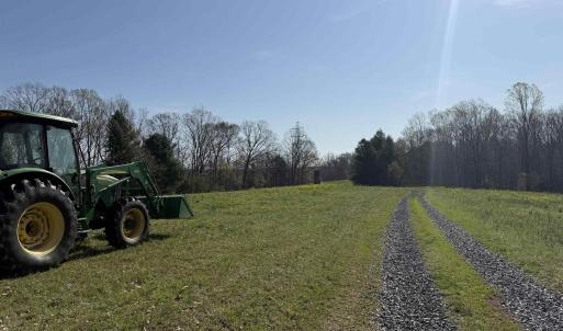 Photo #11 of PAYNES POND RD, SCOTTSVILLE, VA 118.0 acres
