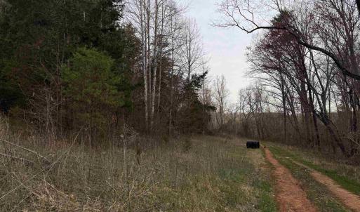Photo #48 of PAYNES POND RD, SCOTTSVILLE, VA 118.0 acres
