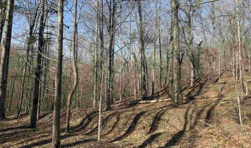 Photo #18 of PAYNES POND RD, SCOTTSVILLE, VA 118.0 acres